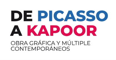 dest picasso