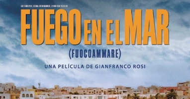 dest filmoteca mayo1