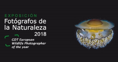 dest fotografos naturaleza 2018