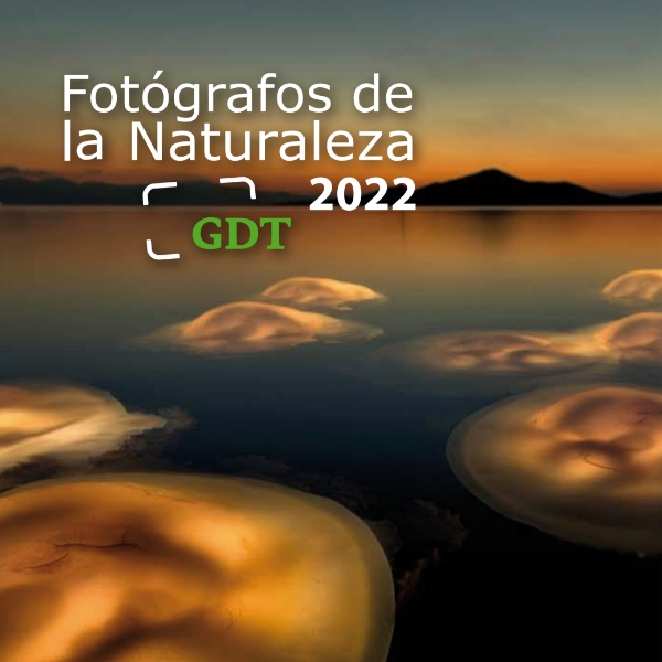 Fotografos De La Naturaleza 2022