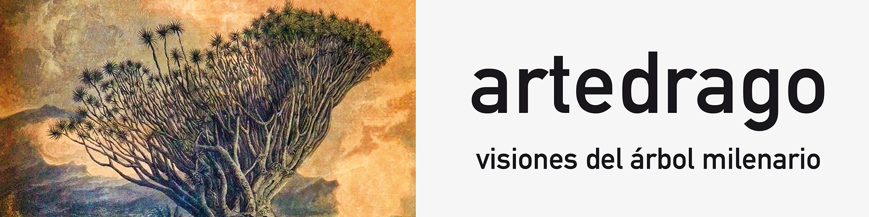 Artedrago. Visiones del árbol milenario