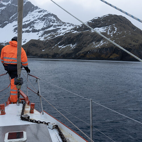 Tras la estela de Shackleton - Juan Diego Amador