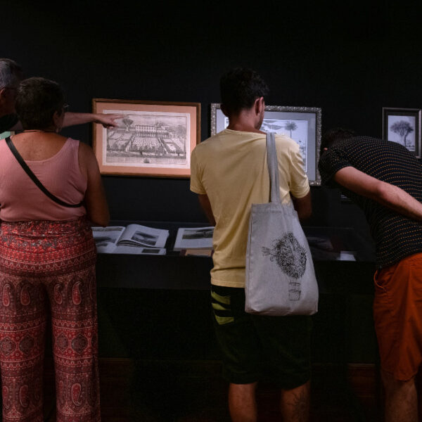 Exposición Artedrago. Visiones del árbol milenario en el Espacio Cultural CajaCanarias de Santa Cruz de La Palma