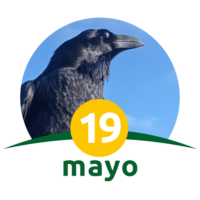 en Ruta 2024 - Ruta ornitológica en el Parque Rural de Teno (Monte del agua)
