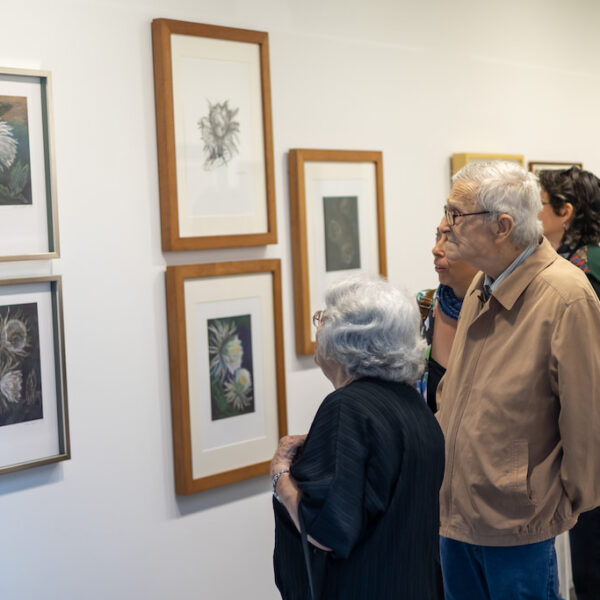 La Fundación CajaCanarias inaugura una muestra dedicada a la obra de Vicki Penfold