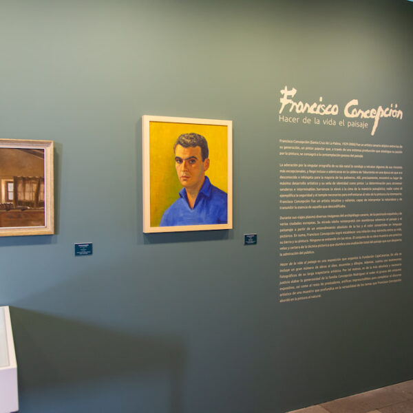 Francisco Concepción - "Hacer de la vida el paisaje" - Espacio Cultural de La Laguna
